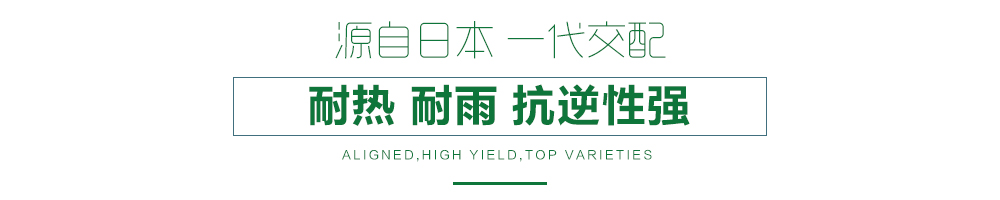 1557883432673417.jpg 詳情頁(yè)11.jpg