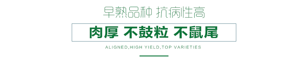 1557990345387928.jpg 詳情頁23.jpg