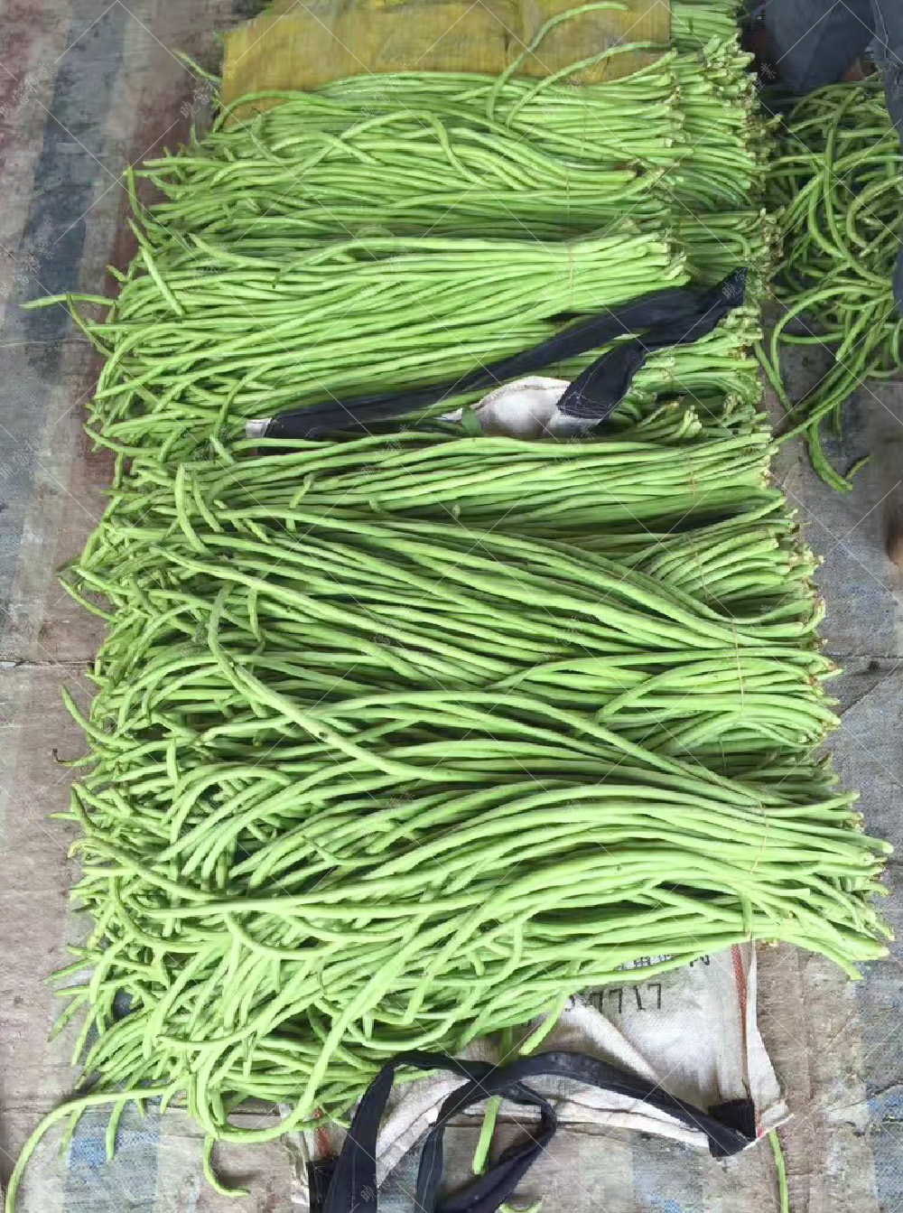 1558057946460336.jpg 54.jpg